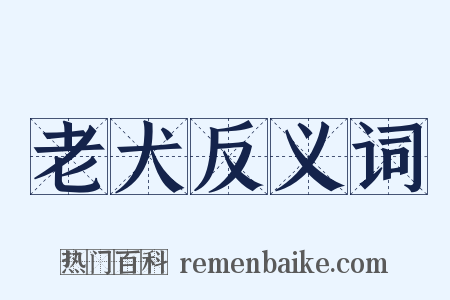 老犬反义词是什么意思的图片